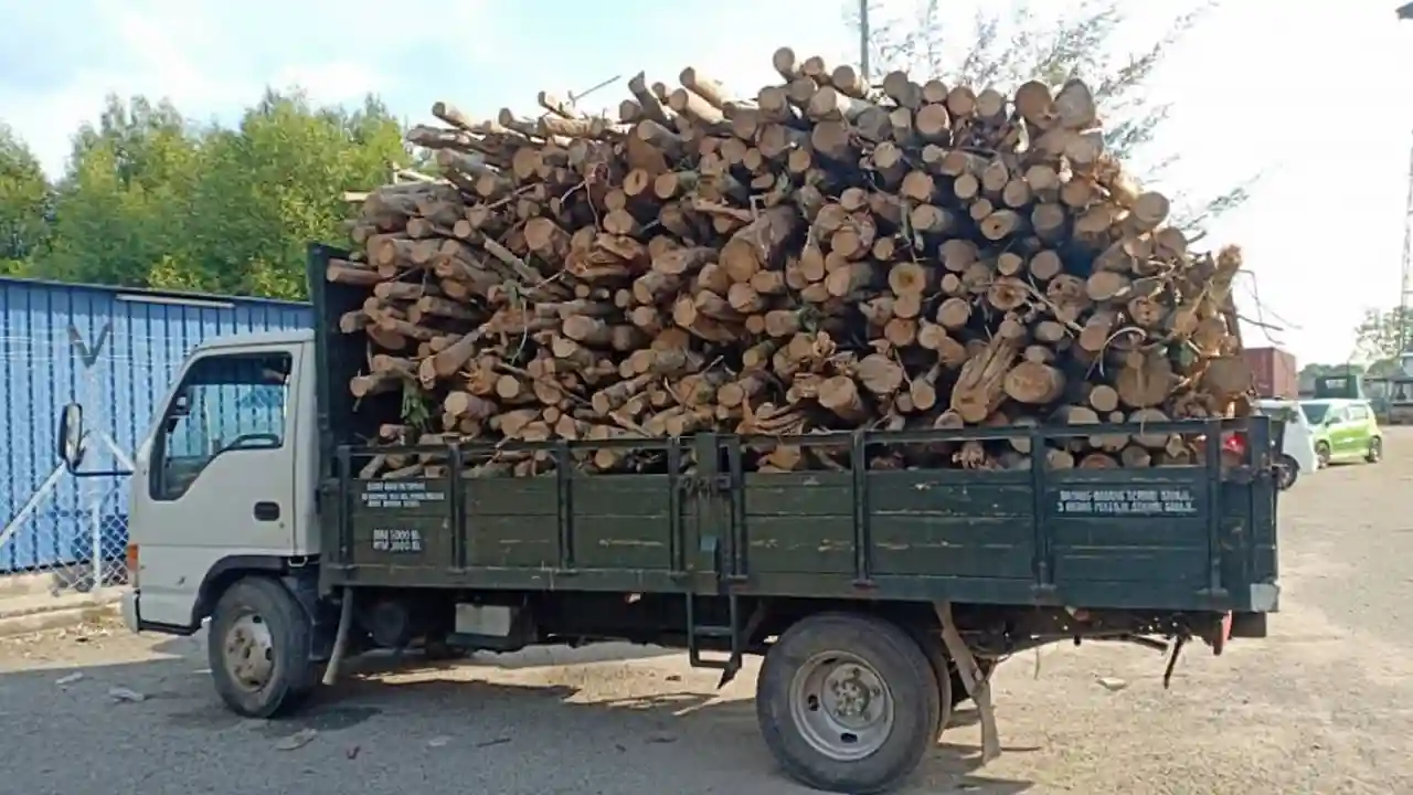 Senarai Harga Kayu Getah Semasa di Malaysia